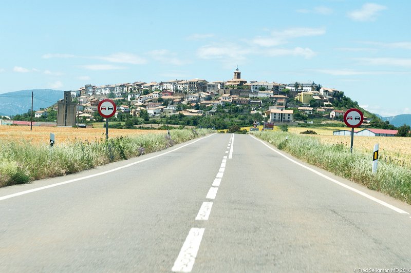 20160601_151259 D4S.jpg - A town in the distance, Aragon